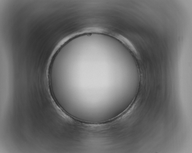 X0000112081192200908041004