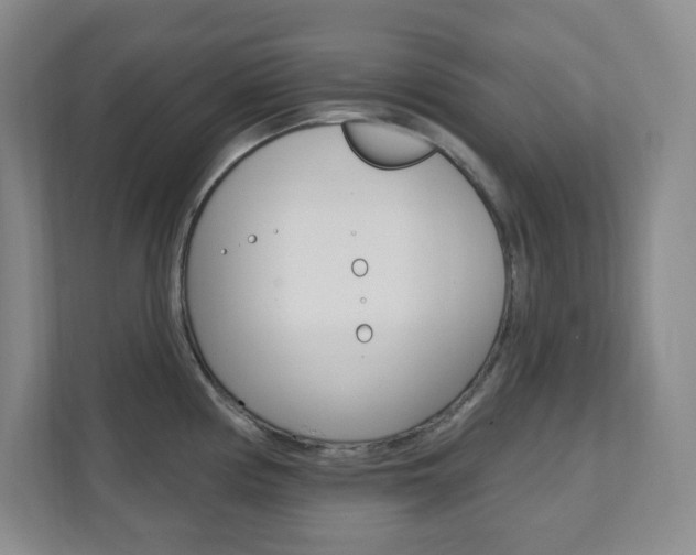 X0000112081194200908041004