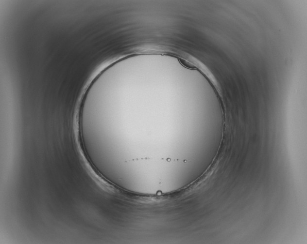 X0000112081195200908041004
