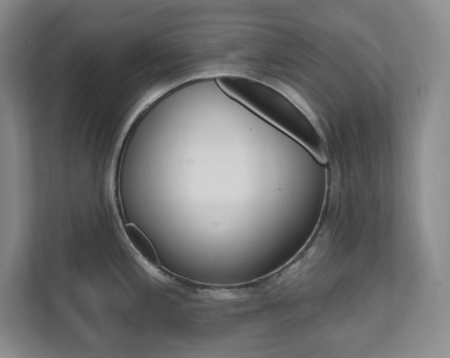 X0000112081197200908041004