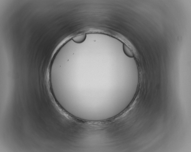 X0000112081198200908041004