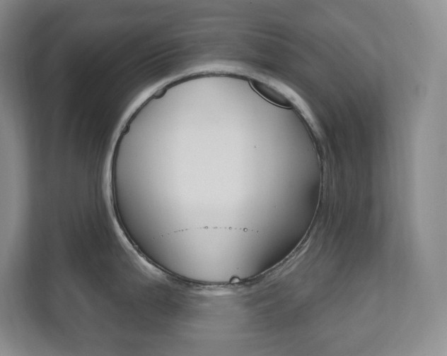 X0000112081199200908041004