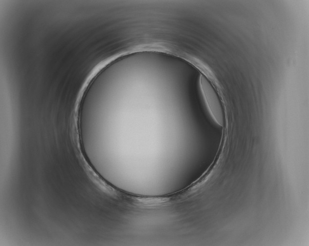 X0000112081200200908041004