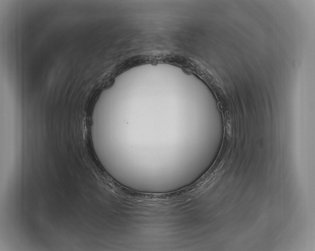 X0000112081204200908041004