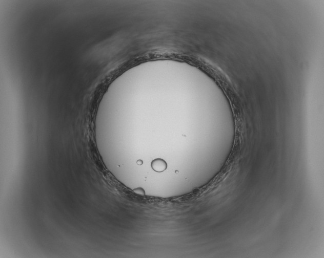 X0000112081207200908041004