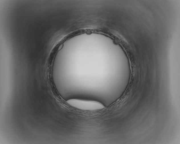 X0000112081208200908041004