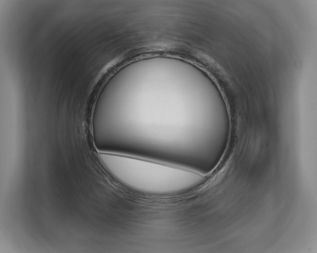 X0000112081210200908041004