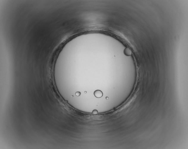 X0000112081211200908041004