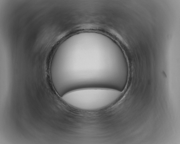 X0000112081213200908041004
