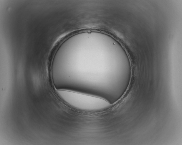 X0000112081214200908041004