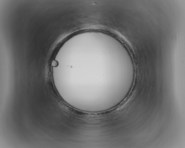 X0000112081215200908041004