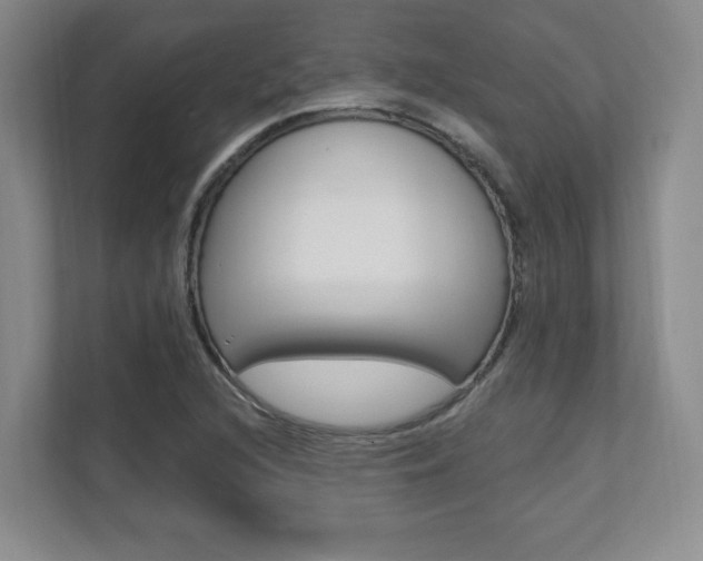 X0000112081216200908041004