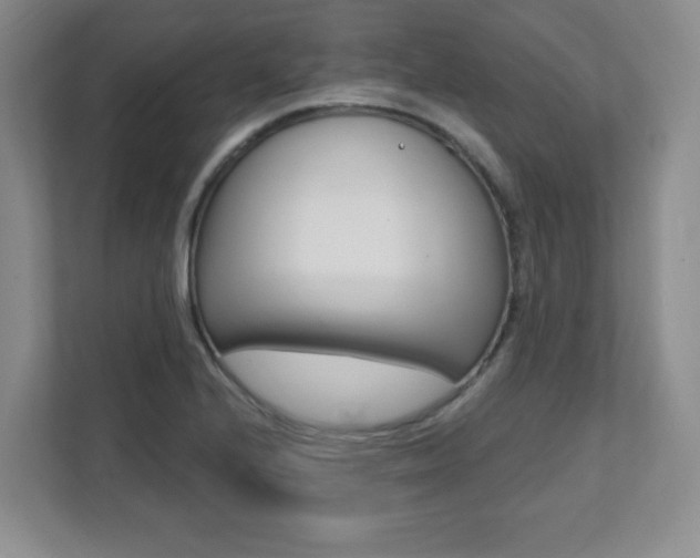 X0000112081224200908041004