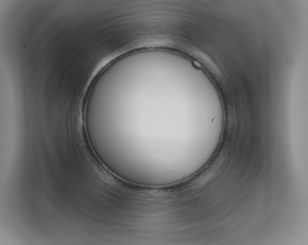 X0000112081226200908041004