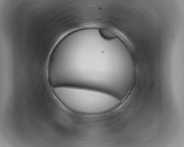 X0000112081236200908041004