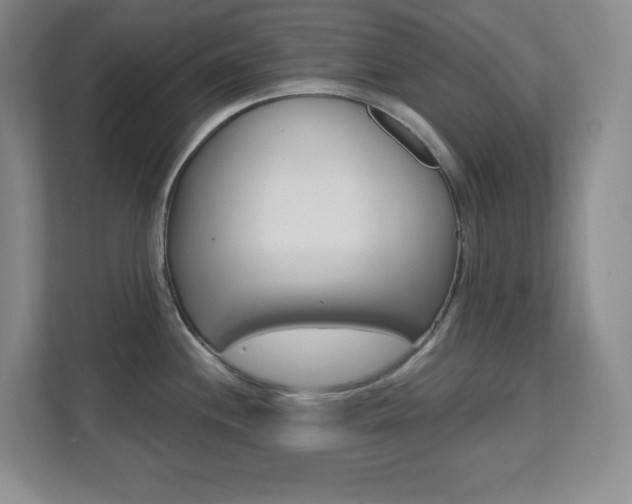 X0000112081244200908041004