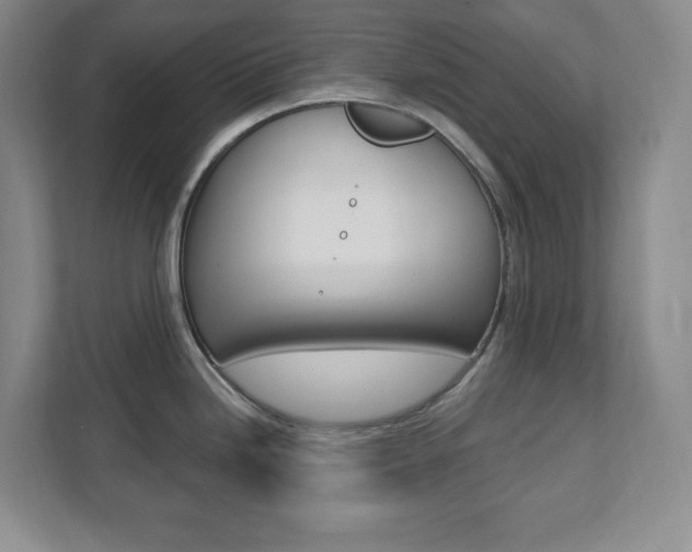 X0000112081246200908041004
