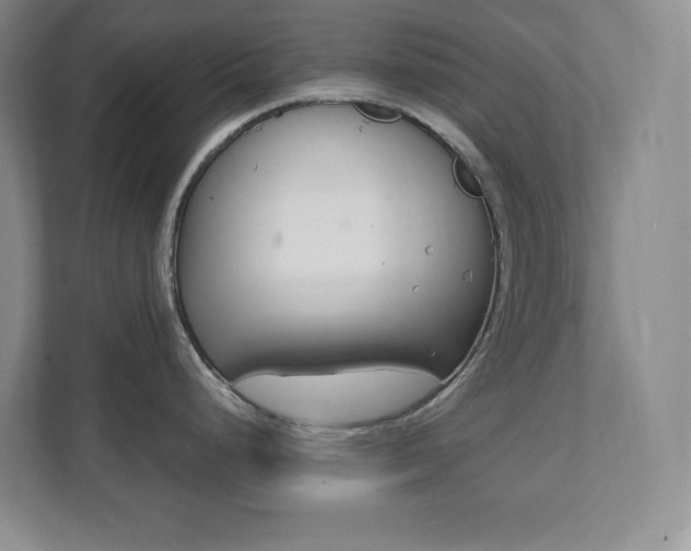 X0000112081248200908041004