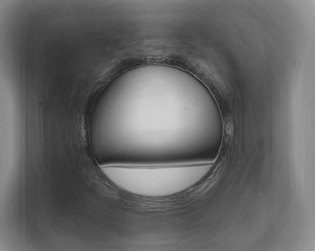 X0000112081252200908041003