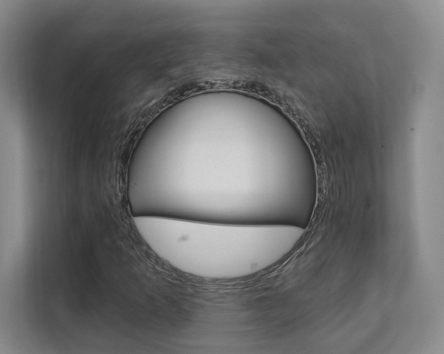 X0000112081253200908041003