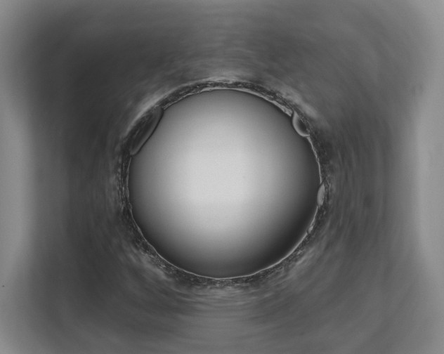 X0000112081256200908041003