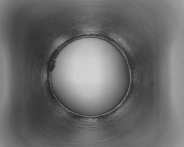 X0000112081261200908041003