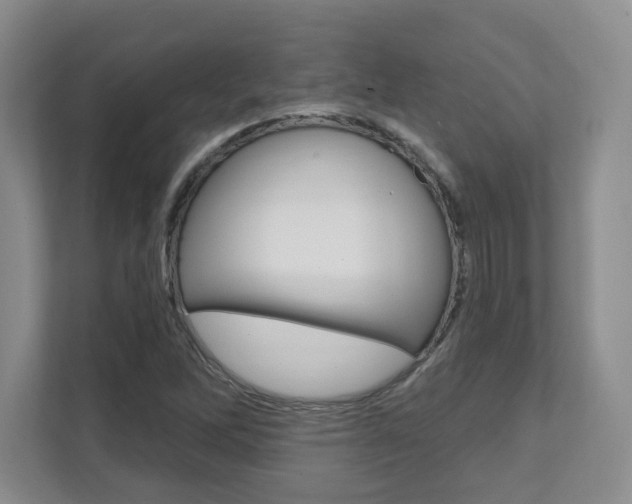 X0000112081262200908041003