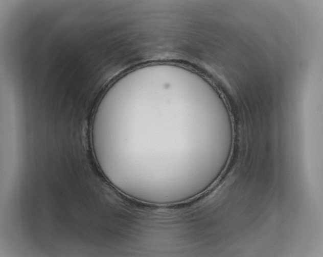 X0000112081265200908041003