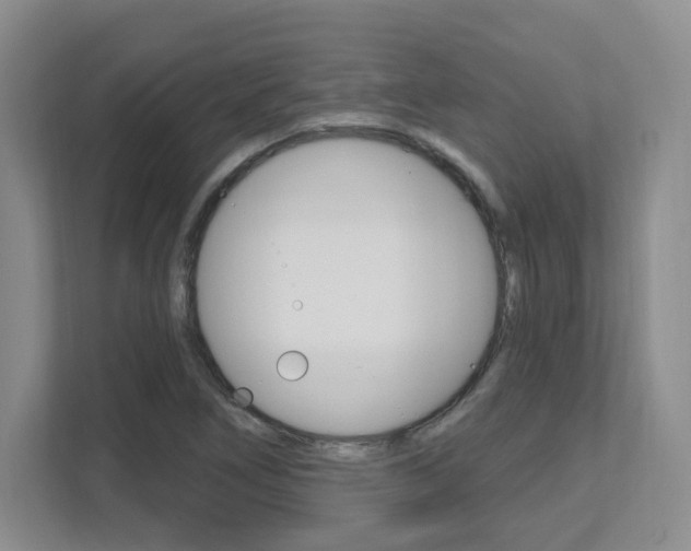 X0000112081266200908041003