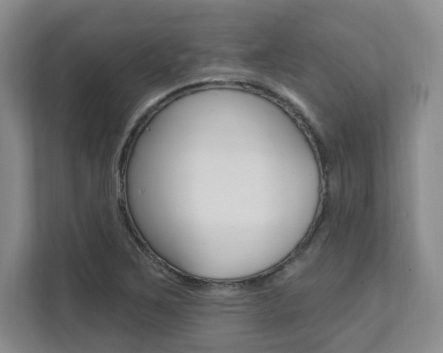 X0000112081267200908041003