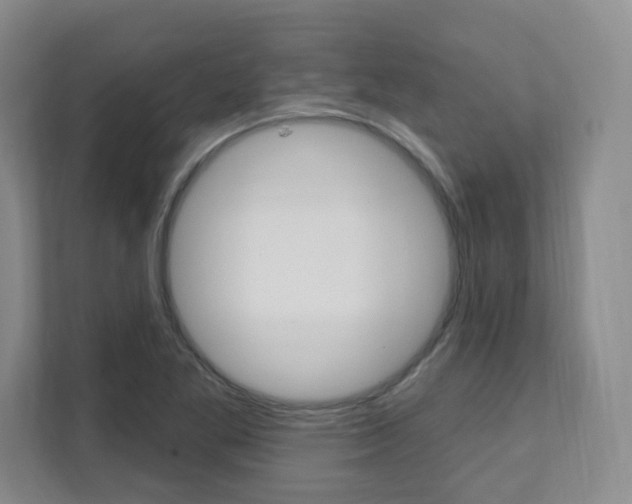 X0000112081269200908041003