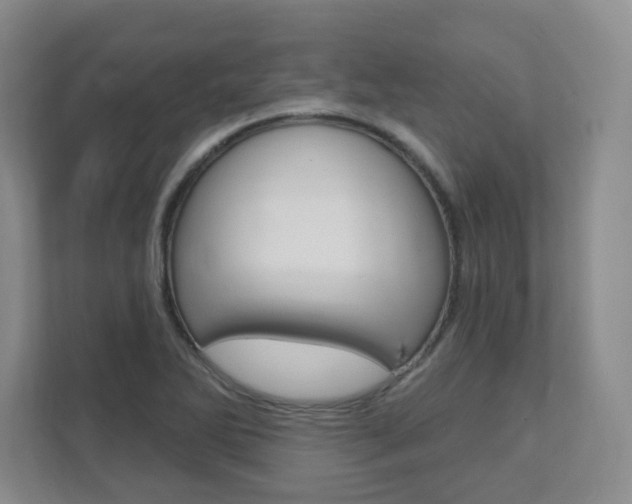 X0000112081270200908041003
