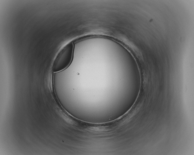 X0000112081272200908041003