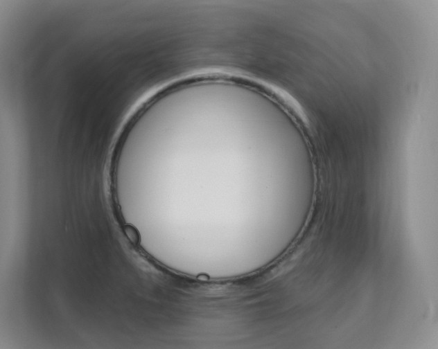 X0000112081279200908041003