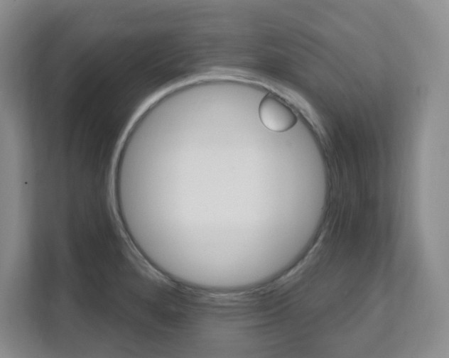 X0000112081280200908041003