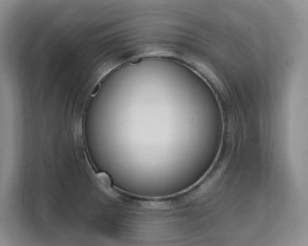 X0000112081281200908041003