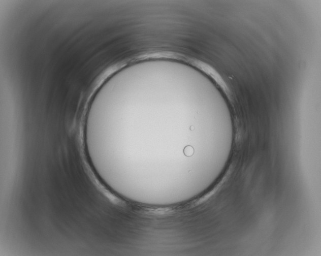X0000112081282200908041003