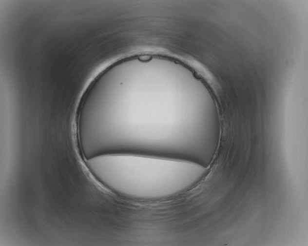 X0000112081287200908041003