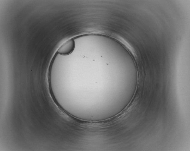 X0000112081291200908041003