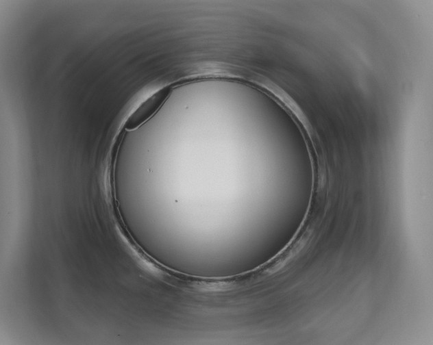 X0000112081293200908041003