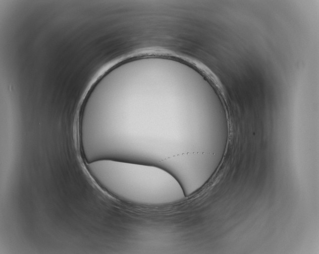 X0000112081295200908041003