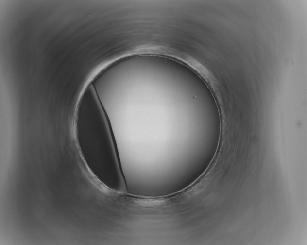 X0000112081296200908041003