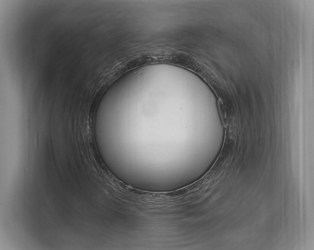 X0000112081298200908041002
