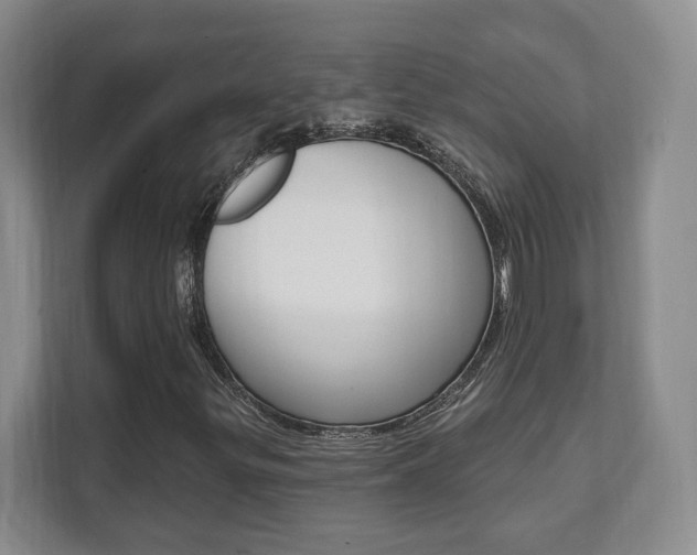X0000112081299200908041002