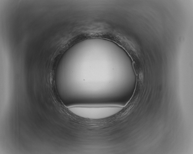 X0000112081300200908041002