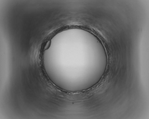 X0000112081303200908041002