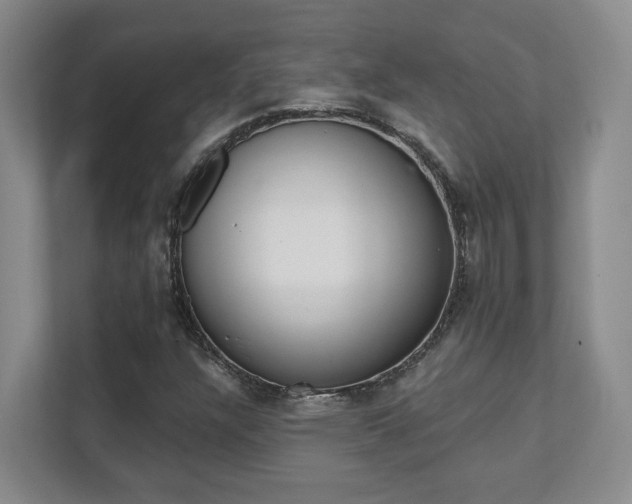 X0000112081304200908041002