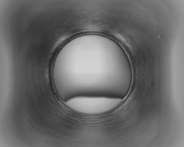 X0000112081307200908041002