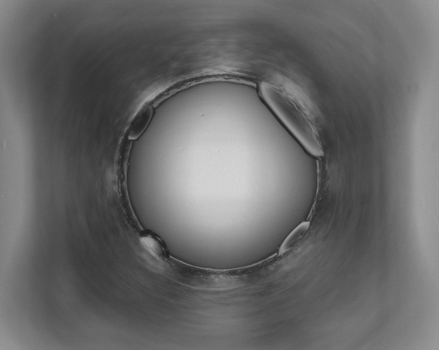 X0000112081308200908041002