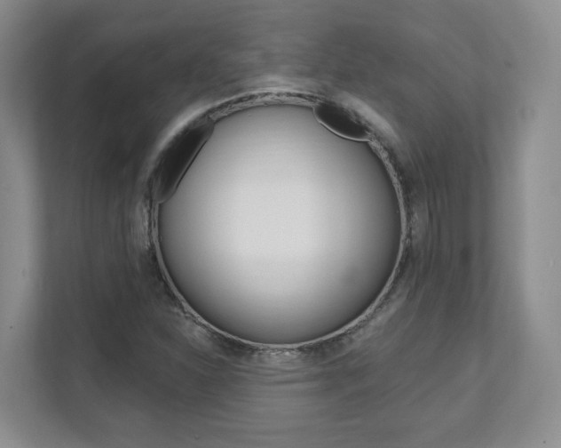 X0000112081310200908041002